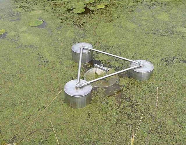 Duckweed control and removal from ponds